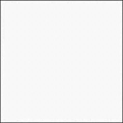 Roll: Rosco #228 - Brushed Silk