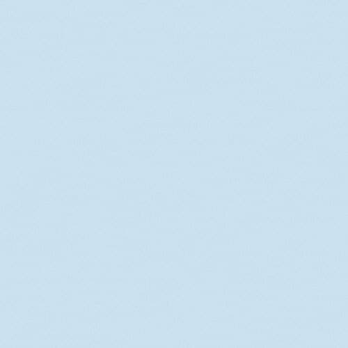 Roll: Rosco #218 - CTB 1/8